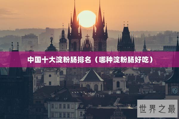 中国十大淀粉肠排名（哪种淀粉肠好吃）