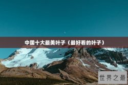 中国十大最美叶子（最好看的叶子）