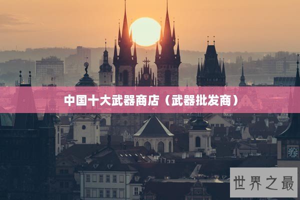 中国十大武器商店（武器批发商）