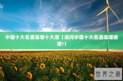 中国十大名酒是哪十大酒（请问中国十大名酒是哪些酒?）