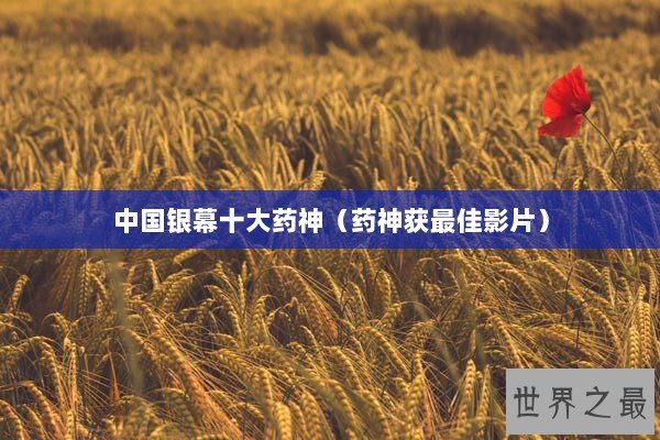 中国银幕十大药神（药神获最佳影片）