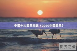 中国十大男单排名（2020中国男单）