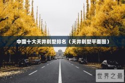 中国十大天井别墅排名（天井别墅平面图）