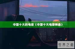 中国十大的电音（中国十大电音神曲）
