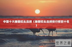 中国十大睡眠枕头品牌（睡眠枕头品牌排行榜前十名）