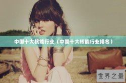 中国十大核能行业（中国十大核能行业排名）