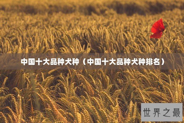 中国十大品种犬种（中国十大品种犬种排名）