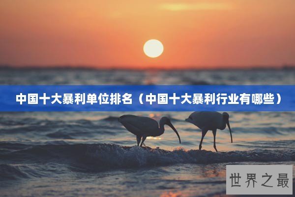 中国十大暴利单位排名（中国十大暴利行业有哪些）