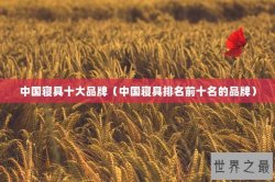 中国寝具十大品牌（中国寝具排名前十名的品牌）