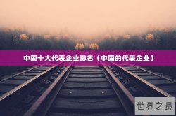 中国十大代表企业排名（中国的代表企业）