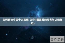 如何看待中国十大品牌（对中国品牌的思考与认识作文）