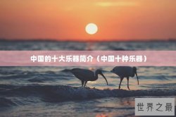 中国的十大乐器简介（中国十种乐器）