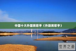 中国十大外国男歌手（外籍男歌手）