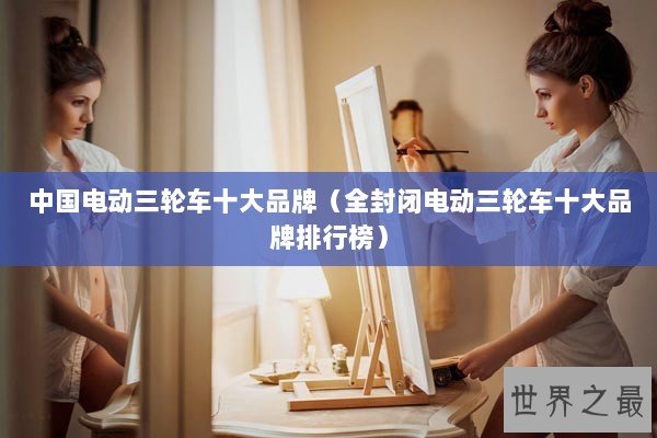 中国电动三轮车十大品牌（全封闭电动三轮车十大品牌排行榜）