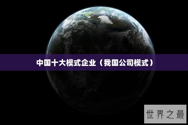 中国十大模式企业(我国公司模式) 中国十大模式企业(我国公司模式)