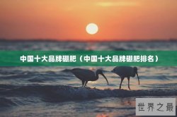 中国十大品牌硼肥（中国十大品牌硼肥排名）