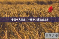 中国十大废土（中国十大废土企业）