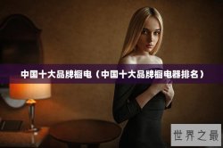 中国十大品牌橱电（中国十大品牌橱电器排名）