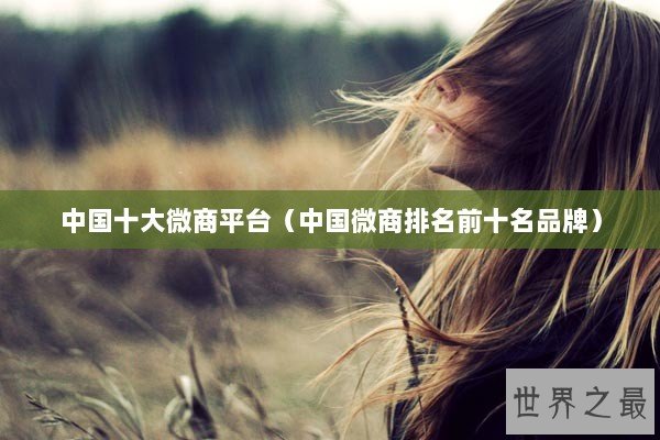 中国十大微商平台（中国微商排名前十名品牌）