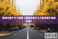 感动中国十大人物孝（感动中国十大人物孝顺父母颁奖词）