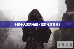 中国十大家具电商（家具电商品牌）