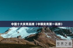 中国十大夹克品牌（中国夹克第一品牌）