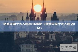 感动中国十大人物2016事迹（感动中国十大人物 2016）