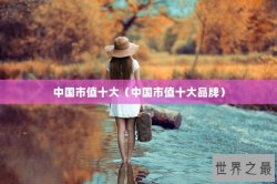 中国市值十大（中国市值十大品牌）