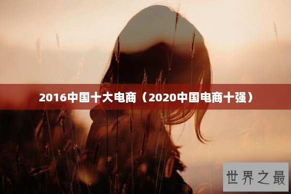 2016中国十大电商（2020中国电商十强）