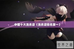 中国十大洗衣店（洗衣店排名第一）