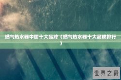 燃气热水器中国十大品牌（燃气热水器十大品牌排行）