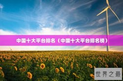 中国十大平台排名（中国十大平台排名榜）