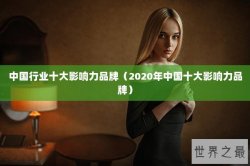 中国行业十大影响力品牌（2020年中国十大影响力品牌）
