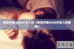 感动中国2008十大人物（感动中国2008评选人物展播）