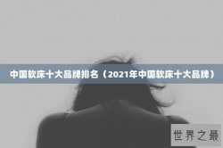 中国软床十大品牌排名（2021年中国软床十大品牌）