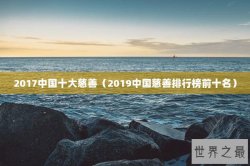 2017中国十大慈善（2019中国慈善排行榜前十名）