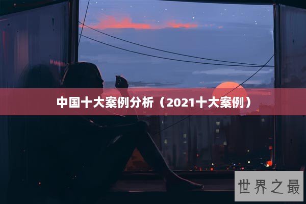 中国十大案例分析（2021十大案例）