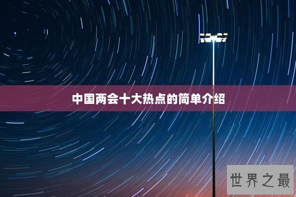 中国两会十大热点的简单介绍