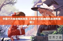 中国十大抽油烟机排名（中国十大抽油烟机品牌有哪些）
