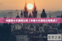 中国前十大游戏公司（中国十大游戏公司黑点）