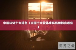 中国软体十大排名（中国十大软体家具品牌都有哪些）