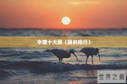 中国十大蒋（蒋的排行）