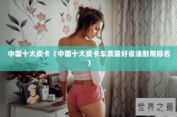 中国十大皮卡（中国十大皮卡车质量好省油耐用排名）