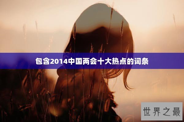 包含2014中国两会十大热点的词条