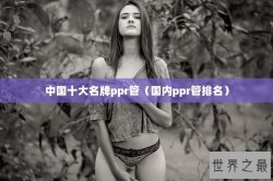 中国十大名牌ppr管（国内ppr管排名）