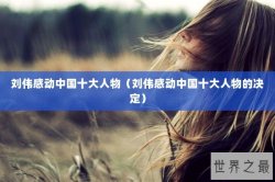 刘伟感动中国十大人物（刘伟感动中国十大人物的决定）