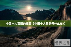 中国十大富豪的座驾（中国十大富豪开什么车?）