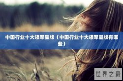 中国行业十大领军品牌（中国行业十大领军品牌有哪些）