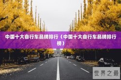 中国十大自行车品牌排行（中国十大自行车品牌排行榜）