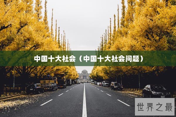 中国十大社会（中国十大社会问题）
